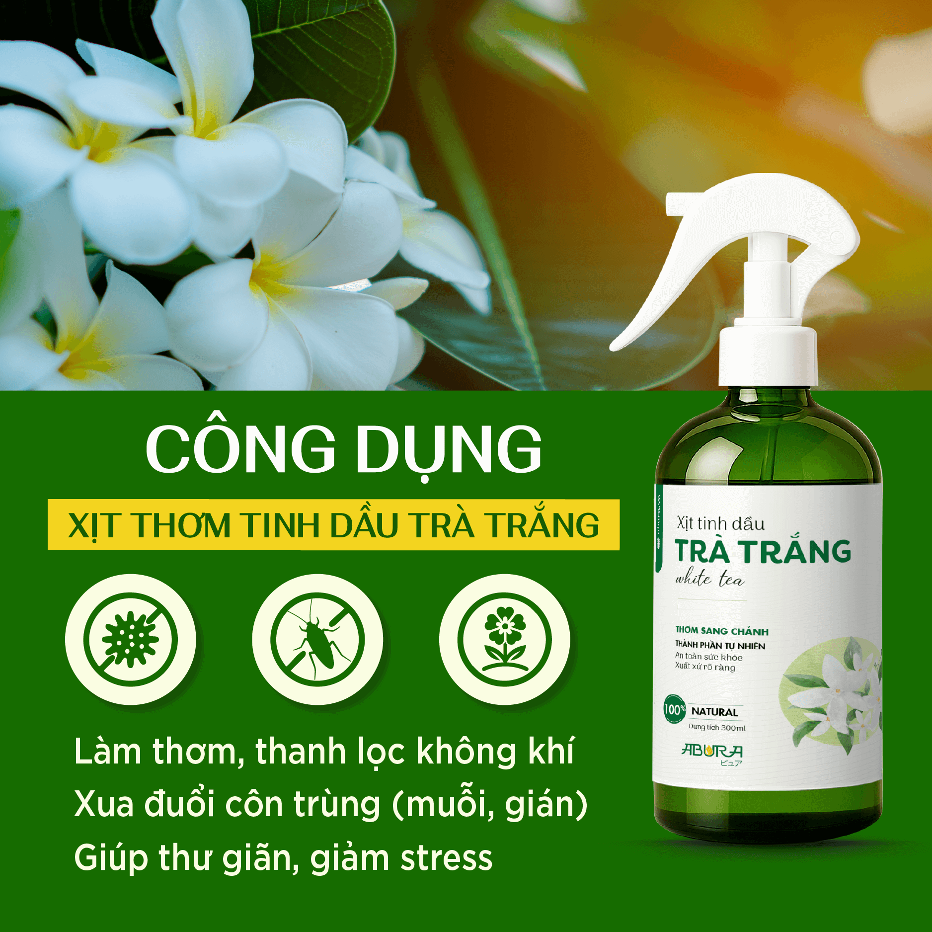 Công Dụng Tinh Dầu Xịt Thơm Trà Trắng Công Dụng Tinh Dầu Xịt Thơm Trà Trắng