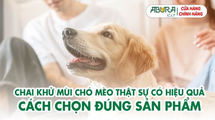 Chai xịt khử mùi chó mèo có thật sự hiệu quả cách chọn đúng sản phẩm